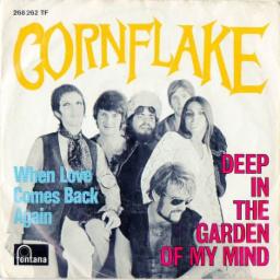 Cover for Deep In The Garden Of My Mind