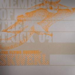 Cover for The Flying Squirrel