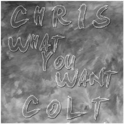 Cover for What You Want