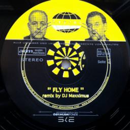 Cover for The 06 Singles 04: Fly Home