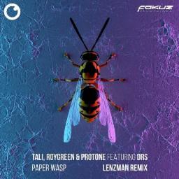 Cover for Paper Wasp (Lenzman Remix)