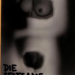 Cover for Die seltsame Sekretärin 1
