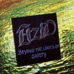 Cover for Beyond The Limits Of Safety