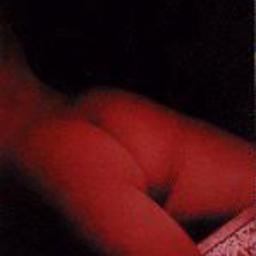 Cover for Promo 1995