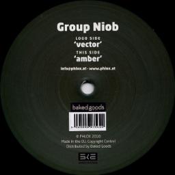 Cover for Vector / Amber