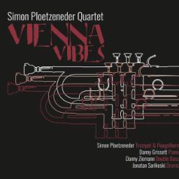 Cover for Vienna Vibes