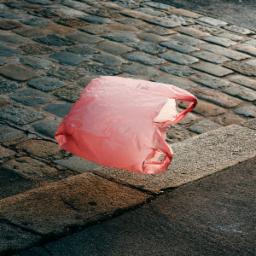 Cover for Good Vids, Vile Times