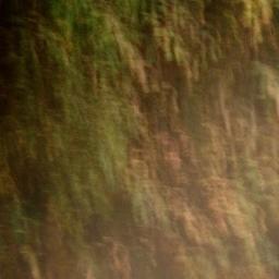 Cover for Old Savage Om / Creakin Wood