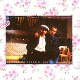 Cover for A Schtetl is Amerike