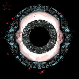 Cover for Die Macht der Nacht EP