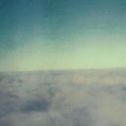 Cover for D. D. O. S.