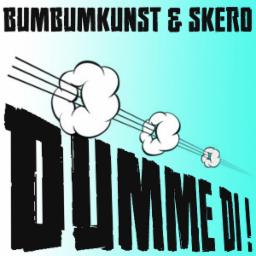 Cover for Dumme di