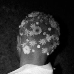 Cover for Show Me Love