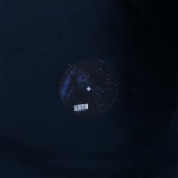 Cover for You Come Along