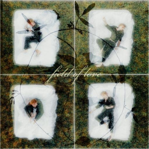 Cover for