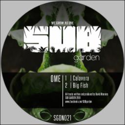 Cover for Calavera / Big Fish