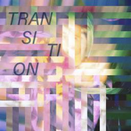 Cover for Transition