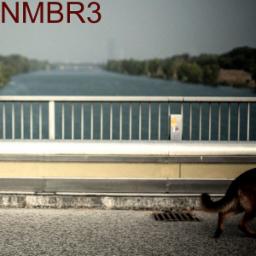 Cover for NMBR3