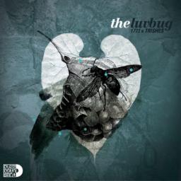 Cover for The Luv Bug