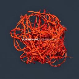 Cover for