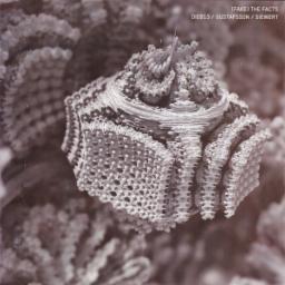 Cover for (Fake) The Facts