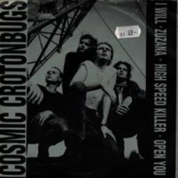 Cover for I Will/Zuzana/High Speed Killer/Open You