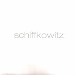 Cover for Schiffkowitz