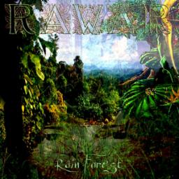 Cover for Rain Forest EP