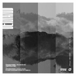 Cover for Flash Forward