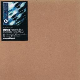 Cover for Patterns In A Dubmatic Field, Vol. 2