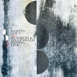 Cover for Missing Link