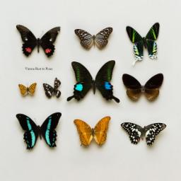 Cover for