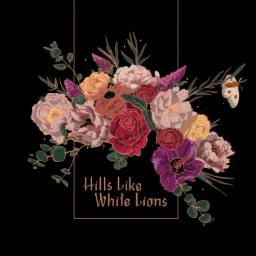 Cover for Hills Like White Lions