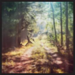 Cover for Oneironaut