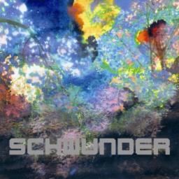 Cover for Schwunder
